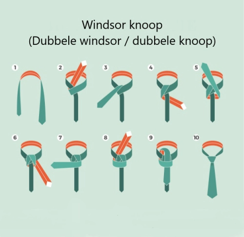 windsor knoop